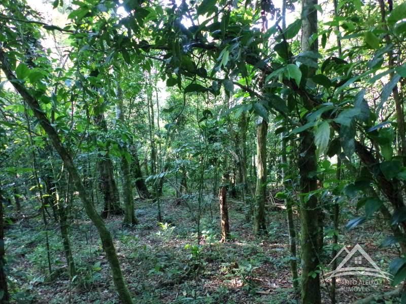 Terreno Residencial em Rio de Janeiro, Santo Aleixo [Cod 93] - Santo Aleixo Imóveis