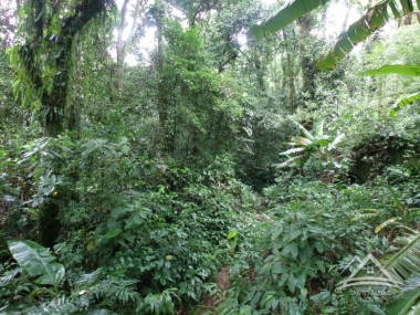 Cod [25] - Terreno Residencial em Centro, Rio de Janeiro