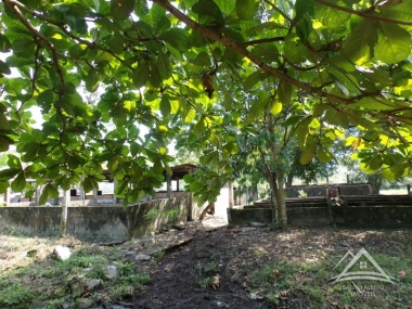 Cod [65] - Fazenda / Sítio em Santo Aleixo, Rio de Janeiro