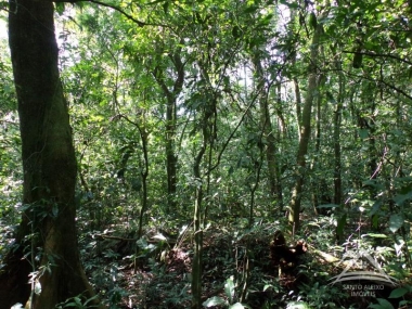 Cod [77] - Terreno Residencial em Santo Aleixo, Rio de Janeiro