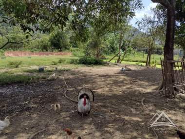 Cod [85] - Terreno Residencial em Santo Aleixo, Rio de Janeiro