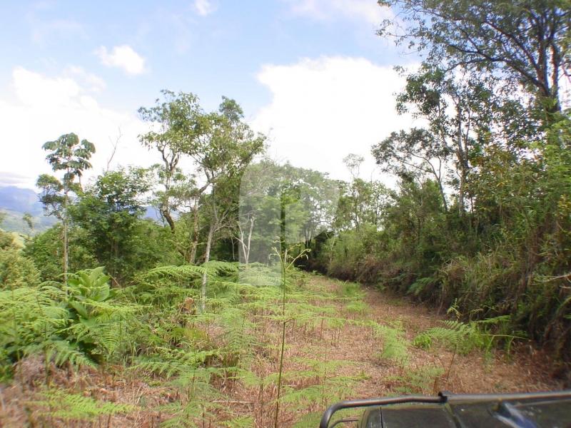 Terreno Residencial - Petrópolis, Itaipava