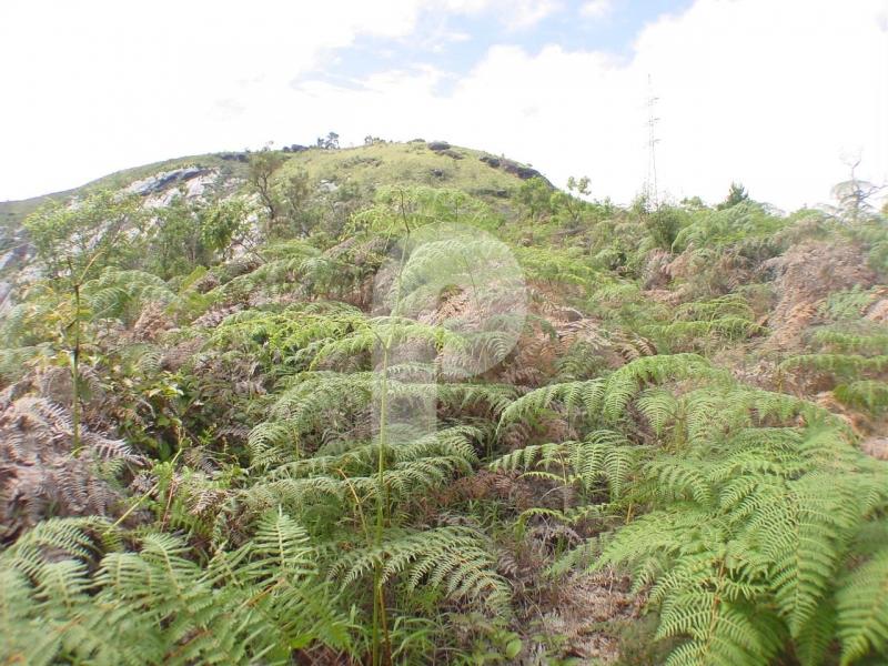 Terreno Residencial - Petrópolis, Itaipava