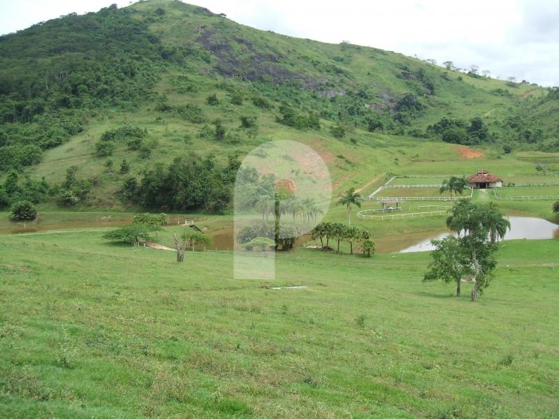 Fazenda - Areal, Areal