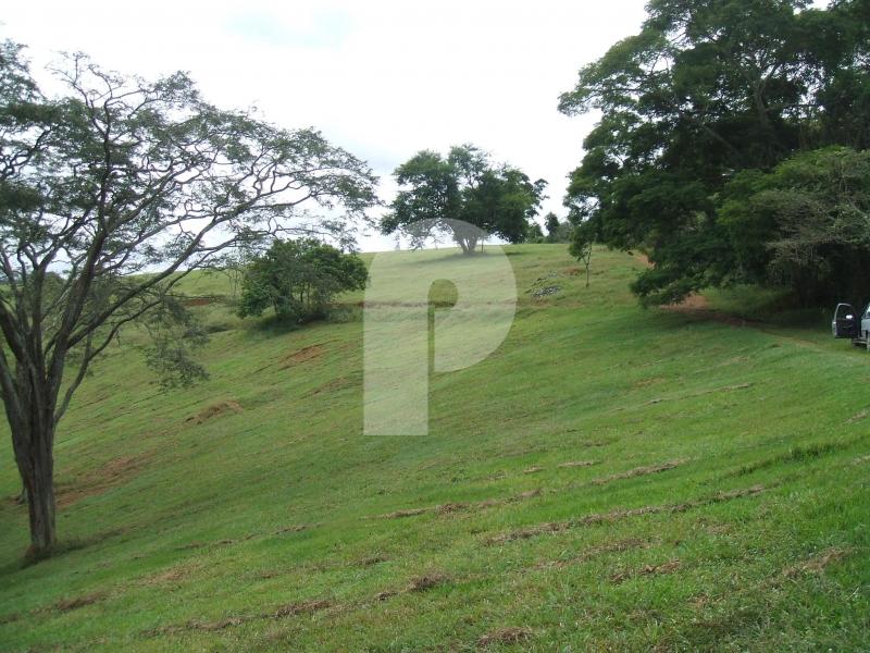 Fazenda - Areal, Areal