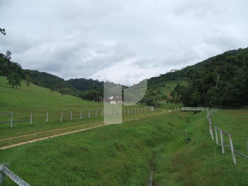 Fazenda - Areal, Areal