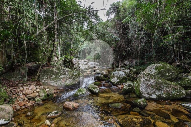 Fazenda - Petrópolis, Itaipava