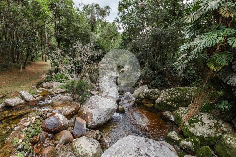 Fazenda - Petrópolis, Itaipava