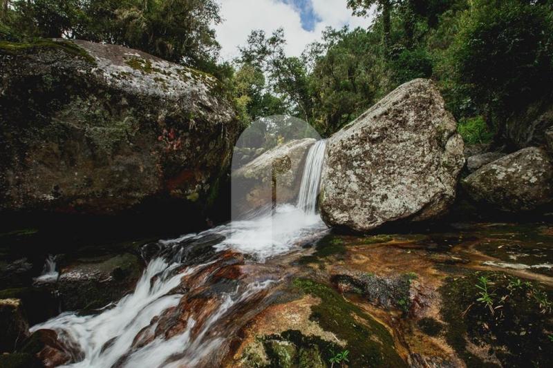 Fazenda - Petrópolis, Itaipava