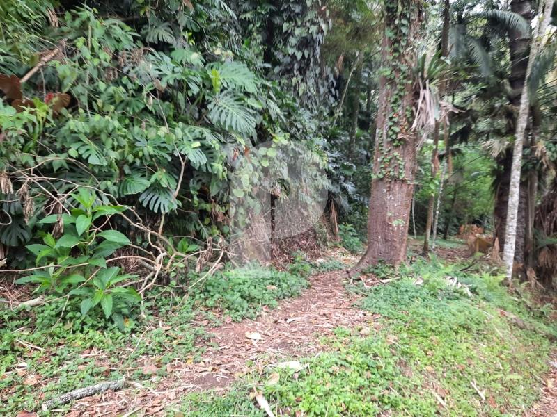 Terreno Comercial - Petrópolis, Centro