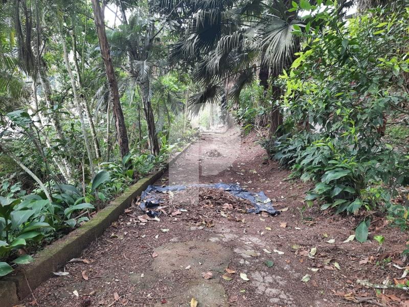 Terreno Comercial - Petrópolis, Centro