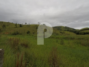 Fazenda - Minas Gerais, Belmiro Braga