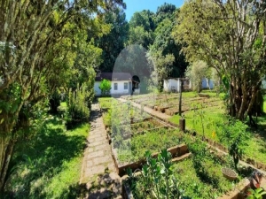 Terreno Comercial - Petrópolis, Itaipava