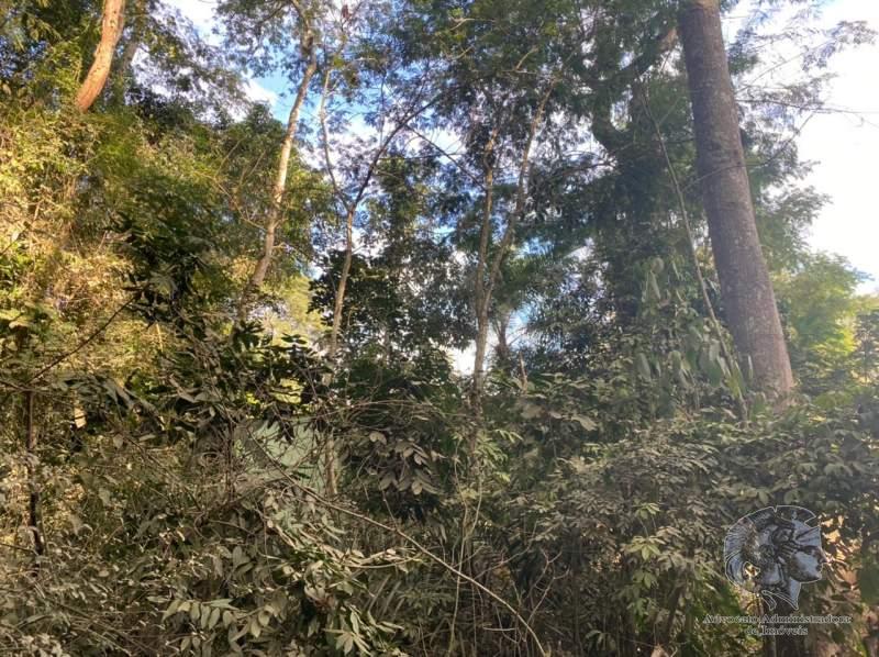 Terreno Residencial à venda em Pedro do Rio, Petrópolis - RJ