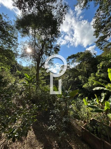 Fazenda / Sítio à venda em Posse, Petrópolis - RJ - Foto 6