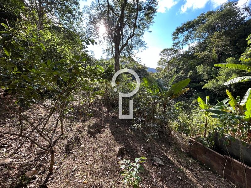 Fazenda / Sítio à venda em Posse, Petrópolis - RJ - Foto 7