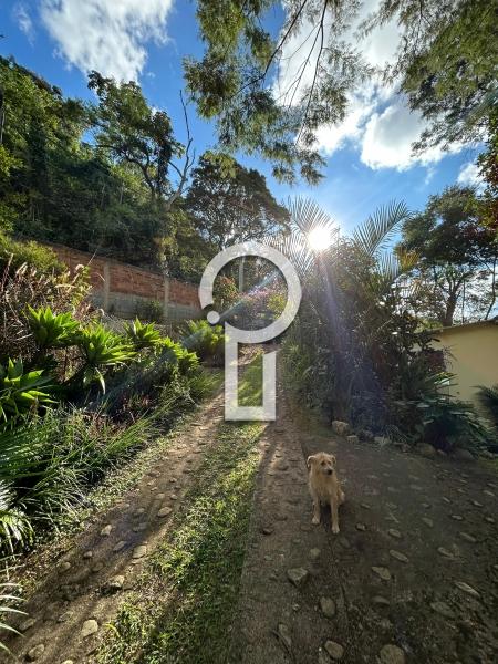 Fazenda / Sítio à venda em Posse, Petrópolis - RJ - Foto 12