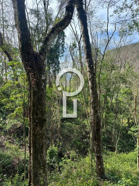 Terreno Residencial à venda em Itaipava, Petrópolis - RJ - Foto 2