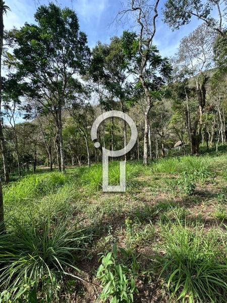Terreno Residencial à venda em Itaipava, Petrópolis - RJ - Foto 3