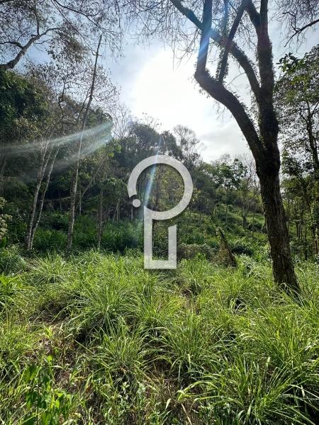 Terreno Residencial à venda em Itaipava, Petrópolis - RJ - Foto 4