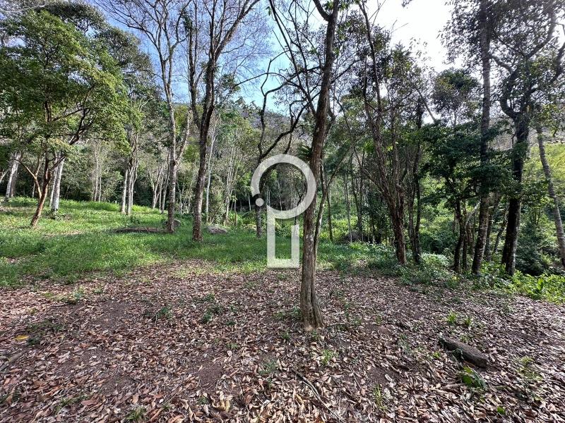 Terreno Residencial à venda em Itaipava, Petrópolis - RJ - Foto 5