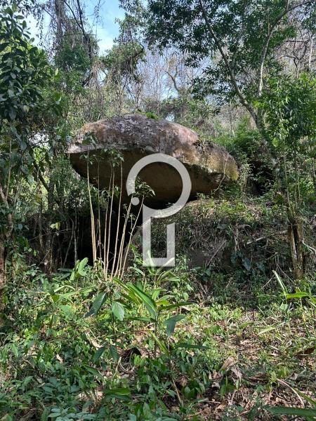 Terreno Residencial à venda em Itaipava, Petrópolis - RJ - Foto 7