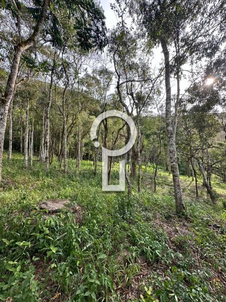 Terreno Residencial à venda em Itaipava, Petrópolis - RJ - Foto 8