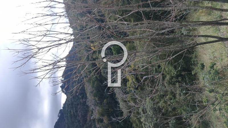 Terreno Residencial à venda em Pedro do Rio, Petrópolis - RJ