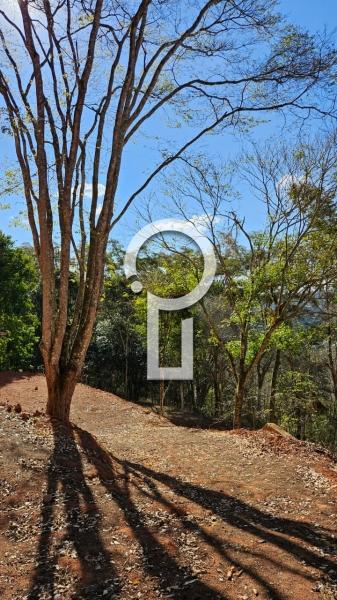 Terreno Residencial à venda em Itaipava, Petrópolis - RJ - Foto 3