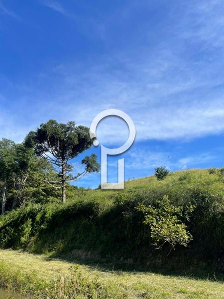 Terreno Residencial à venda em Centro, Paraíba do Sul - RJ - Foto 7