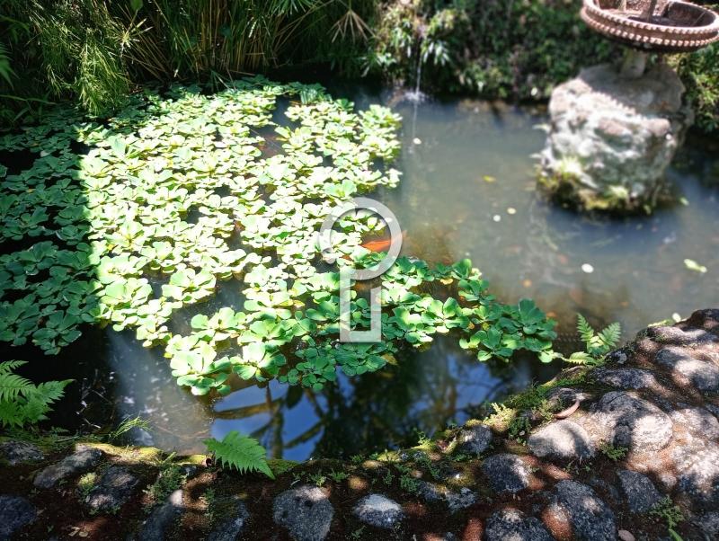 Casa para Alugar em Pedro do Rio, Petrópolis - RJ - Foto 3