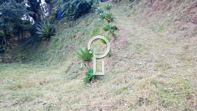 Terreno Residencial à venda em Itaipava, Petrópolis - RJ - Foto 2