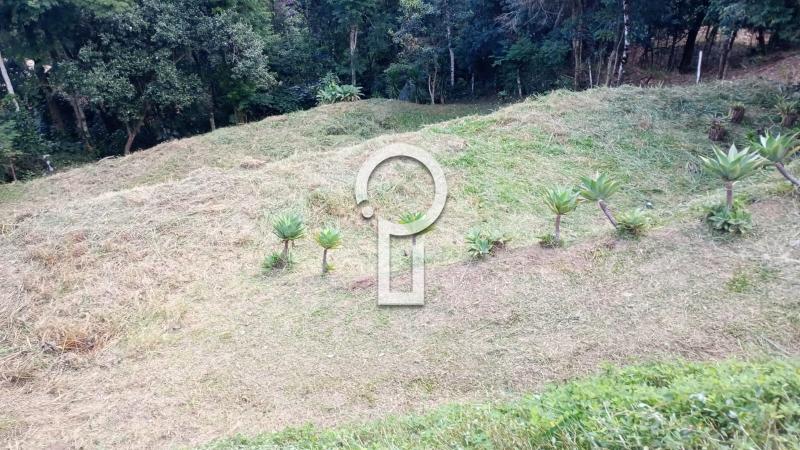 Terreno Residencial à venda em Itaipava, Petrópolis - RJ - Foto 5