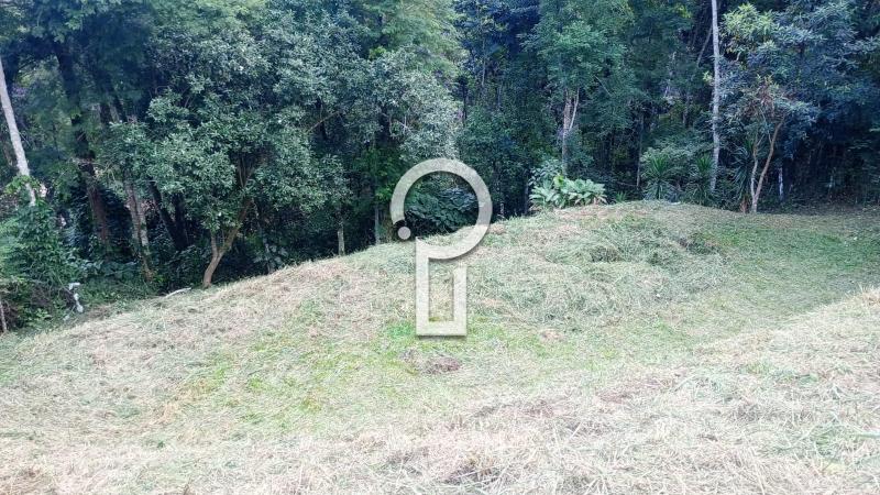 Terreno Residencial à venda em Itaipava, Petrópolis - RJ - Foto 7