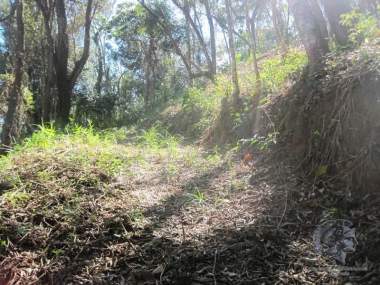 [CI 5268] Lote/Terreno Residencial em Corrêas, Petrópolis/RJ