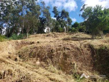 Terreno Residencial em Itaipav...
