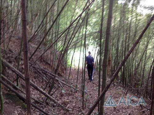 Terreno Residencial à venda em Corrêas, Petrópolis - RJ - Foto 5