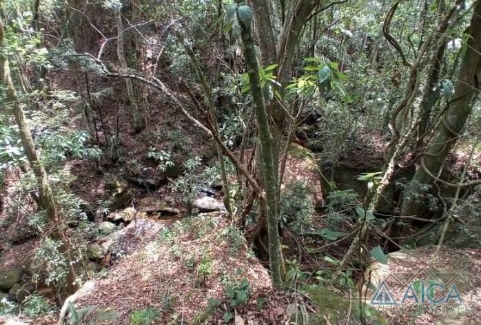 Terreno Residencial à venda em Vale das Videiras, Petrópolis - RJ - Foto 3