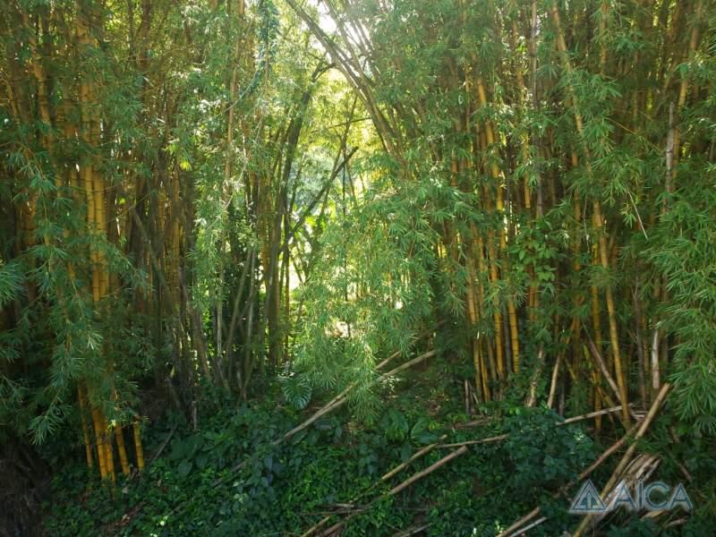 Casa à venda em Corrêas, Petrópolis - RJ - Foto 13