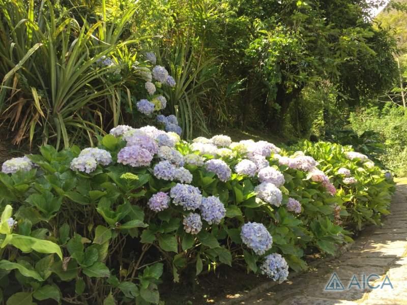 Casa à venda em Araras, Petrópolis - RJ - Foto 6