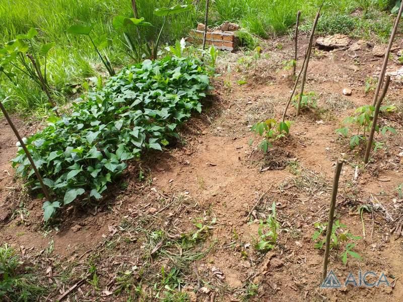 Terreno Residencial à venda em Mosela, Petrópolis - RJ - Foto 2