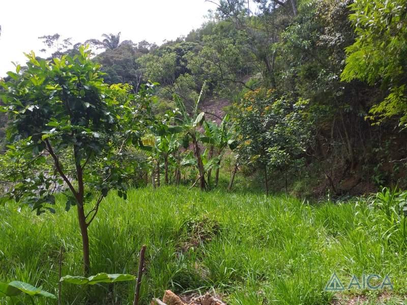 Terreno Residencial à venda em Mosela, Petrópolis - RJ - Foto 9