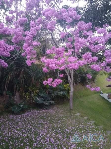 Casa à venda em Pilões, Três Rios - RJ - Foto 18