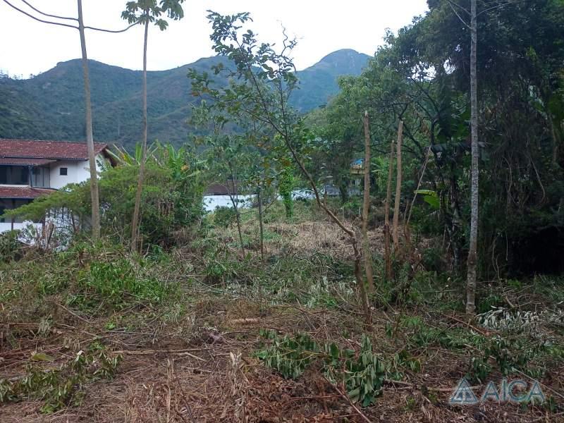 Terreno Comercial à venda em Morin, Petrópolis - RJ - Foto 2