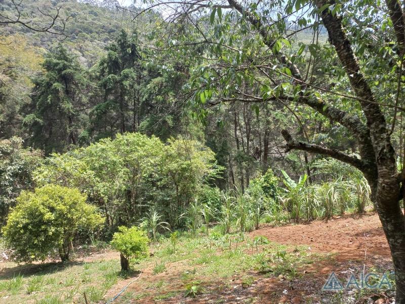 Terreno Residencial à venda em Vale das Videiras, Petrópolis - RJ - Foto 17