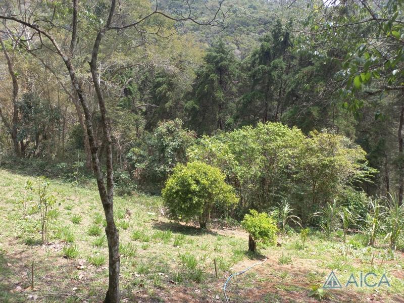 Terreno Residencial à venda em Vale das Videiras, Petrópolis - RJ - Foto 16