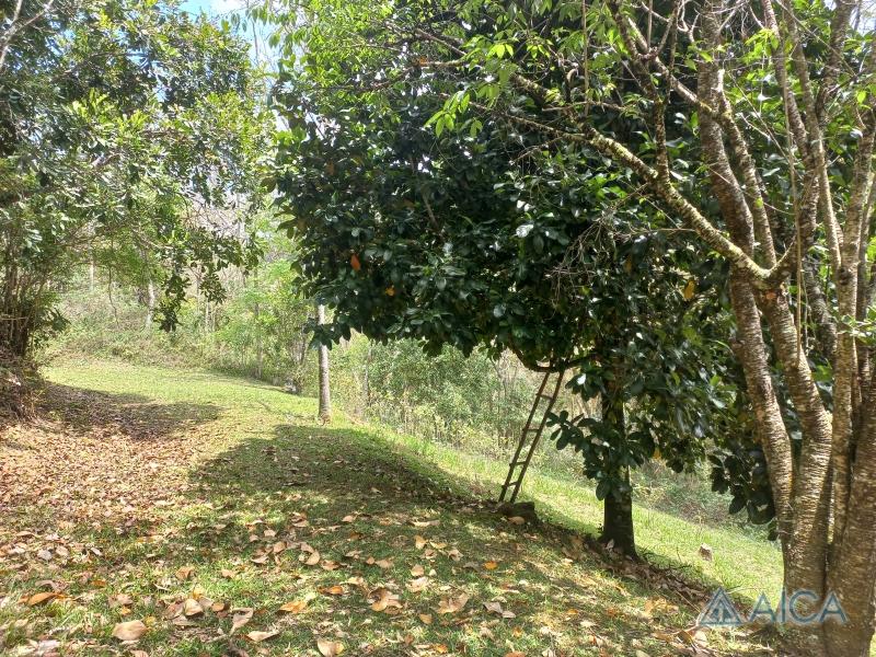 Terreno Residencial à venda em Vale das Videiras, Petrópolis - RJ - Foto 14