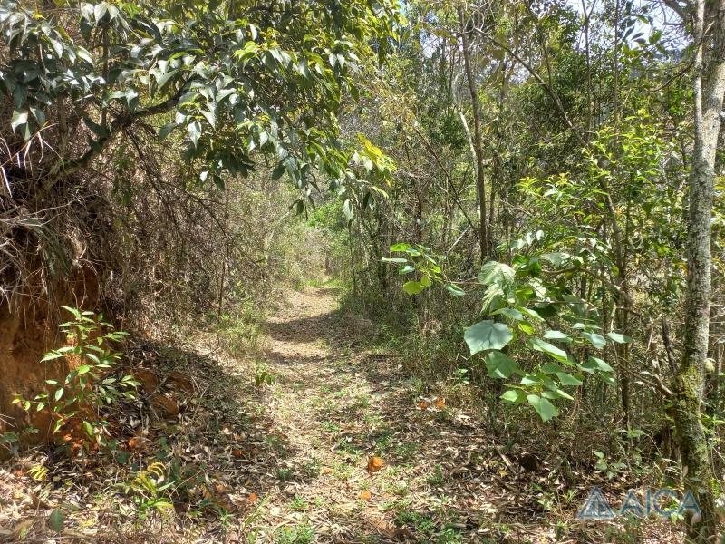 Terreno Residencial à venda em Vale das Videiras, Petrópolis - RJ - Foto 13