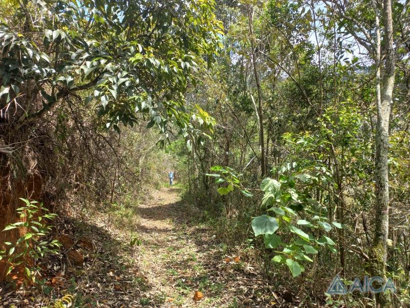 Terreno Residencial à venda em Vale das Videiras, Petrópolis - RJ - Foto 12