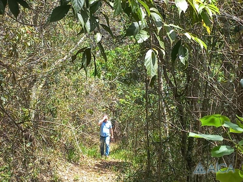 Terreno Residencial à venda em Vale das Videiras, Petrópolis - RJ - Foto 11